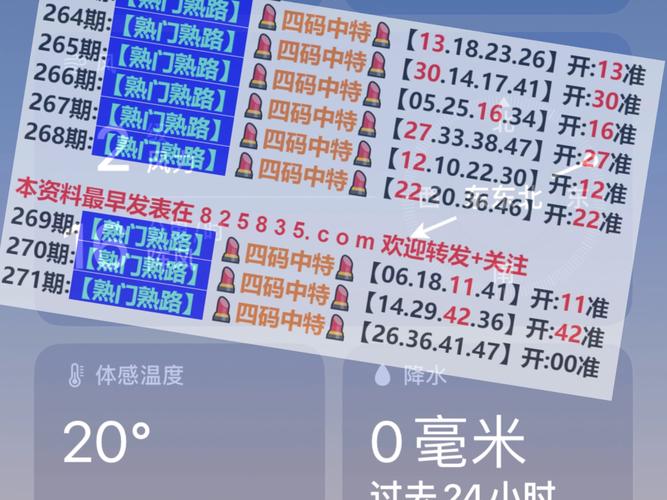 2024年新奥开奖结果查询-全面释义、解释与落实与警惕虚假宣传