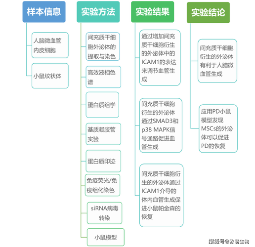 新澳2025资料最新大全,全面释义、解释与落实与警惕虚假宣传