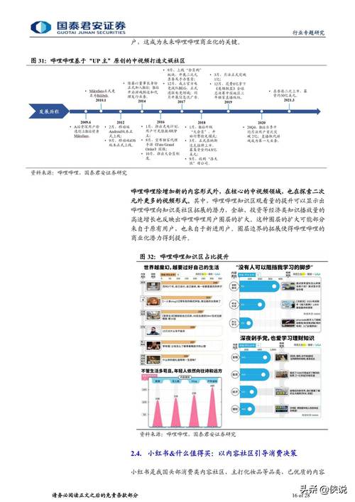 新奥彩2024历史开奖记录查询,全面释义、解释与落实与警惕虚假宣传