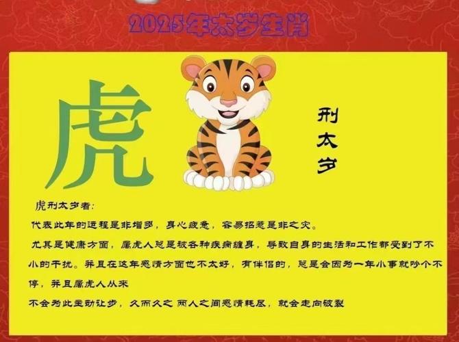 2024澳门资料免费大全十二生肖,2025全面解析实用技巧分享