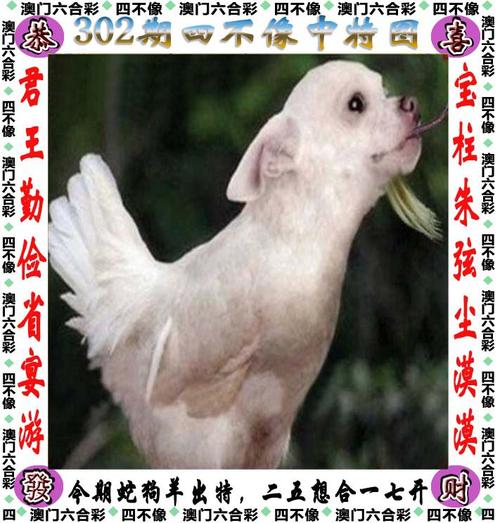 澳门内部正版资料2011与澳门最准四不像2024年第151期全面释义、解释与落实与警惕虚假宣传