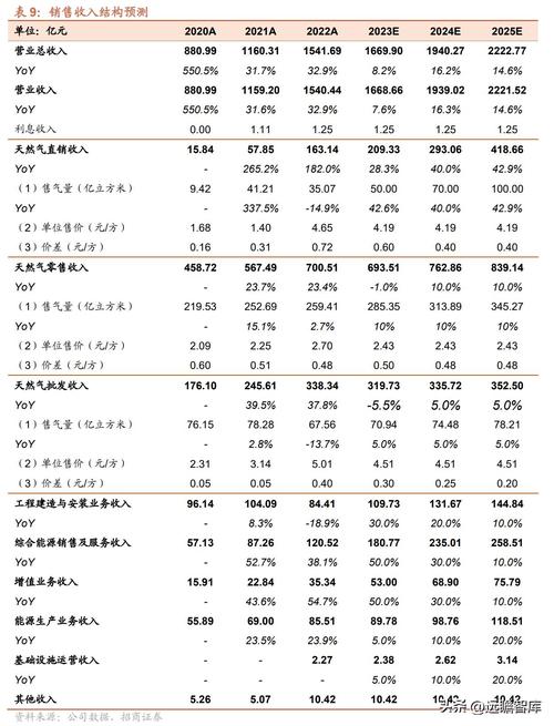 2025年新奥开奖记录,2025全面解析实用技巧分享