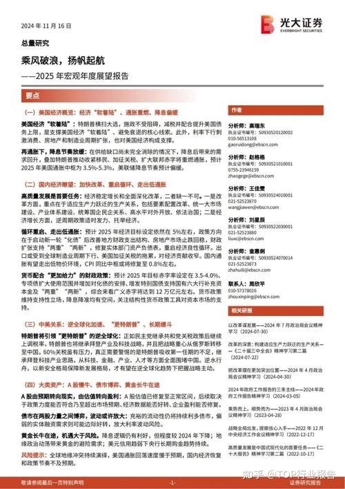 2025年免费正版资料大全,全面释义、专家解释与落实与警惕虚假宣传